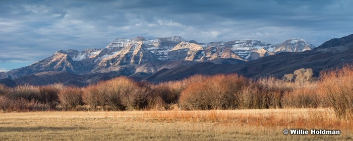 Timpanogos North Fields 062116