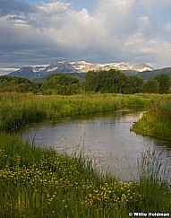 Provotimpspring062510