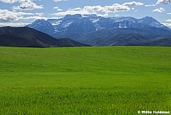 Hicken Green Field Timpanogos 011426 3614