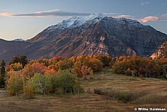 Autumn Colors Timp 100117 7131 7x5