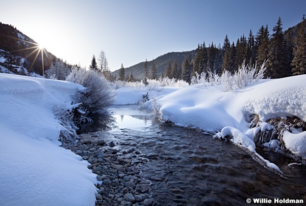 Frosty Stream 030513 165