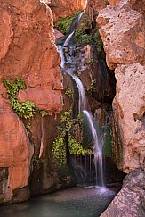 Grand Canyon Elves Chasm 041615 5505