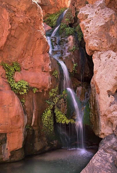 Grand Canyon Elves Chasm 041615 5505