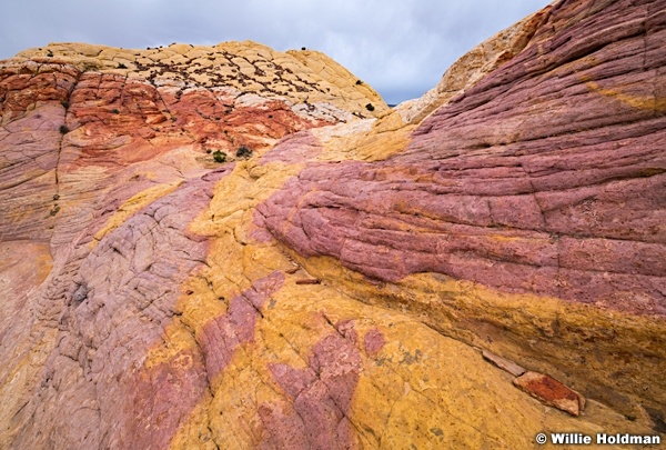 Capitol Reef Color 0521 0789