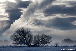 Splittreefog012112 143