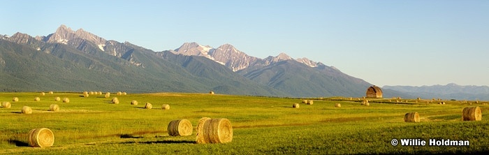 montanabarnpan19x60