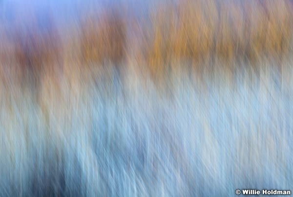Abstractimpressions101510 5175