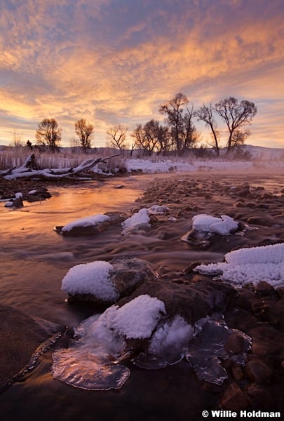 Peachy Provo River 012313 100