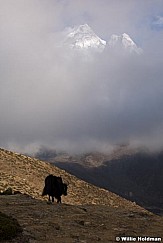 yackamadablam050909 22838