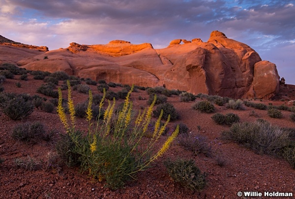 Arch Red Rock 050914 9234