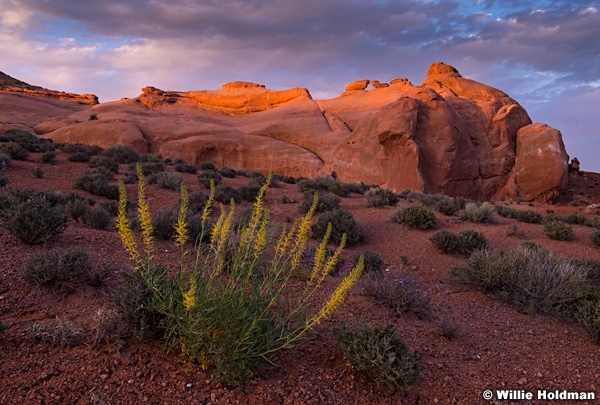 Arch Red Rock 050914 9234