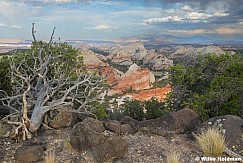 Capitol Reef Domes 060925 0562 2