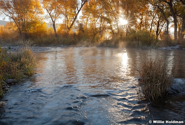 Provo River Cottonwood 101512 158
