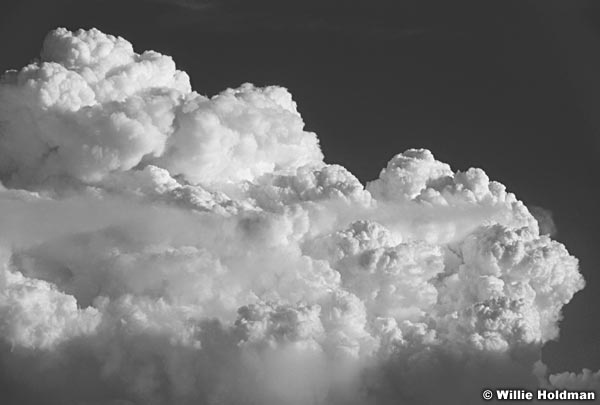 111000003714BW