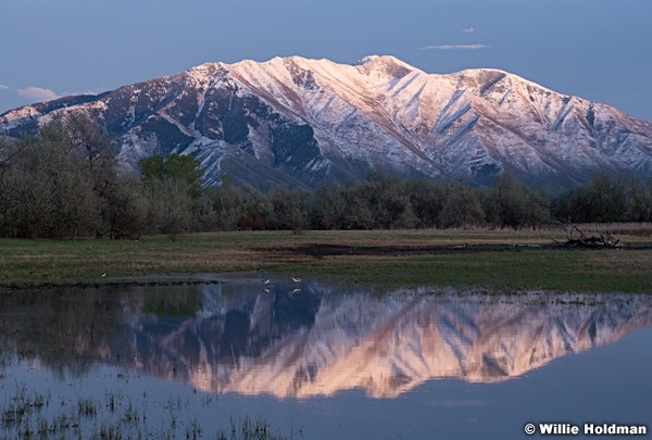 Maple Mountain Reflection 043018 8272 2