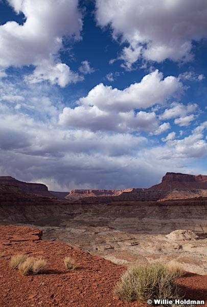 Dirty Devil Canyon 010113 5442