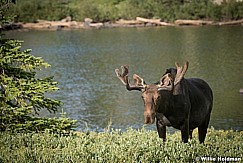 Bull Moose Lake Catherine 073016 5766 3
