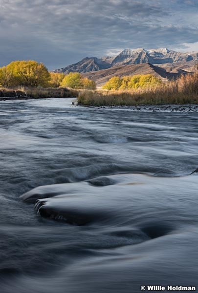 Provo River Water 110115 2 3