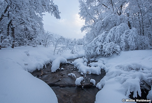 South Fork Winter Strream 010517 9191 6