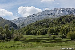 South Fork Spring Snow 051717 8840