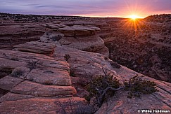 Canyon Sunrise 021514 7769