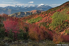Cascade Mountain Red Maples 092917 6224