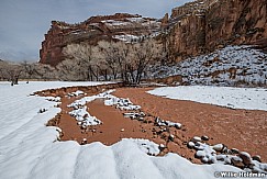 Capitol Reef Fremont River Winter 031624 7548
