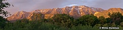 timpanogoslindonspring061208