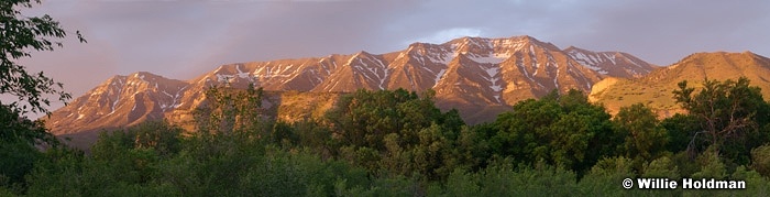 timpanogoslindonspring061208