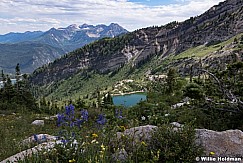 Timpanogos Silver Lake Wildflowers 070218 7422 3