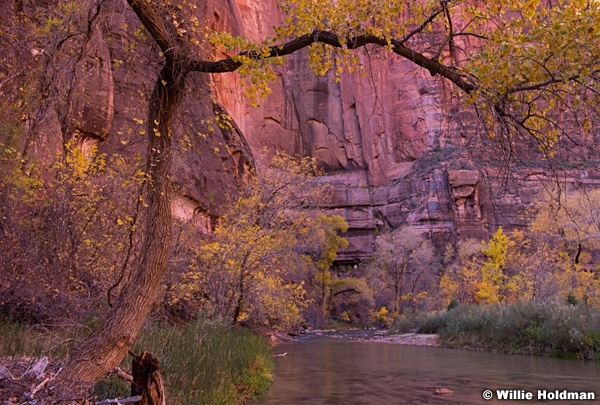 Zion Narrows 110713 2 4