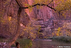 Zion Narrows 110713 2 4