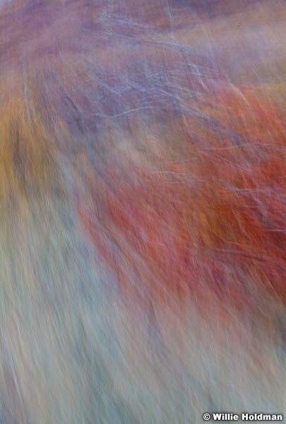 Abstractimpressions101510 5291