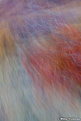 Abstractimpressions101510 5291