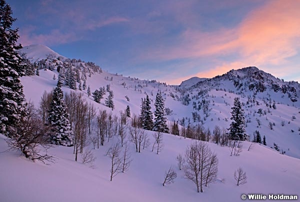 Powdermornsunrise022811 15