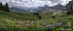 Death Shelve Tetons Wildflowers 080919 9632