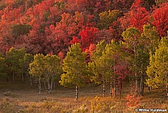 Autumn Warm Reds 092212 392