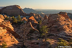 Red Sunset Zion 110215 2648 3