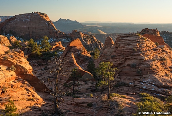 Red Sunset Zion 110215 2648 3