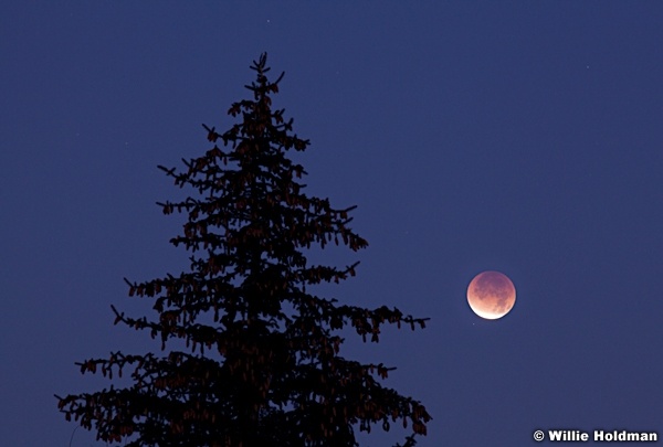 MoonEclipsF011011 7601