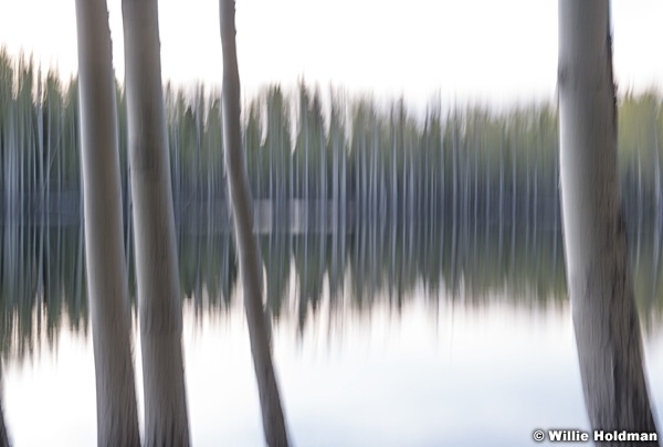 Aspen Lake Abstract 060518 9508