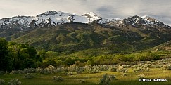 lonepeakspringpan