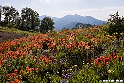 Paintbrush Crest Trail 071214