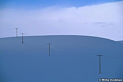 217000008816
