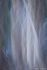 Abstractimpressions101510 6067