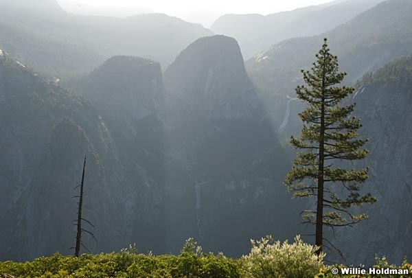 yosemite061807 724
