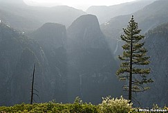 yosemite061807 724