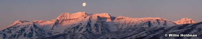 Timpanogospinkmoonpan