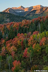 Red Maples Sunrise Timp 092723 3