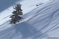 skiertree020808512